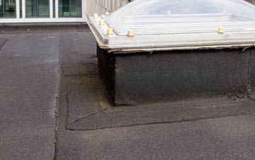 disadvantages of Scorriton flat roofs