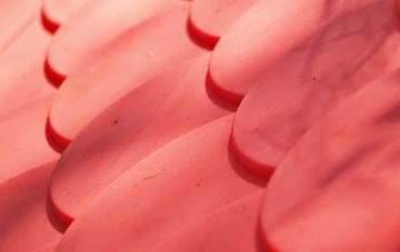 Scorriton plastic roof costs